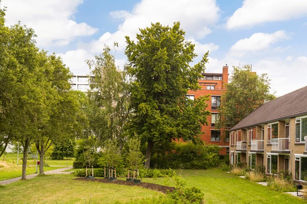 Medium property photo - Stierstraat 47C, 3318 BK Dordrecht